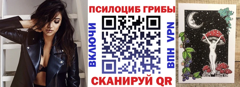 нарко площадка состав  Неман  Галлюциногенные грибы GOLDEN TEACHER 